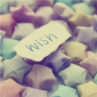 Dog狗的头像-将盾CDN