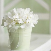 死亡奏鸣曲的头像-将盾CDN