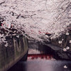 雪藏锋的头像-将盾CDN